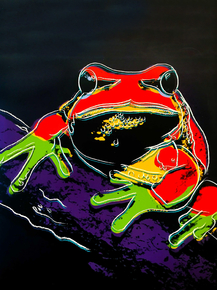 Andy Warhol - Pine Barren Tree Frog II | Энди Уорхол