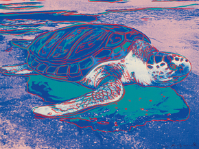 Andy Warhol - Turtle | Энди Уорхол