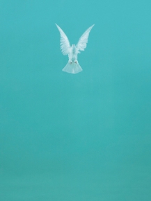 Damien Hirst | Дэмьен Херст - Неполная правда
