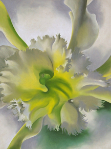 O'Keeffe Georgia - An Orchid | О'Кифф Джорджия