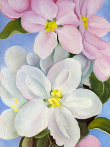 O'Keeffe Georgia - Apple Blossoms | О'Кифф Джорджия
