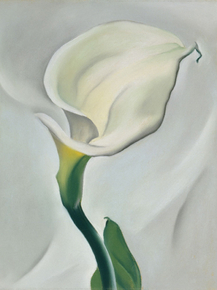 O'Keeffe Georgia - Calla Lily Turned Away | О'Кифф Джорджия