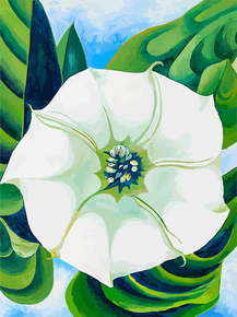 O'Keeffe Georgia - Jimson Weed | О'Кифф Джорджия