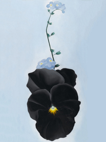 O'Keeffe Georgia - Pansy | О'Кифф Джорджия