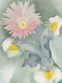 O'Keeffe Georgia - Pink Daisy with Iris | О'Кифф Джорджия