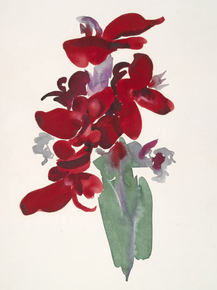 O'Keeffe Georgia - Red Canna | О'Кифф Джорджия
