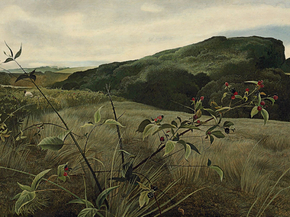Wyeth Andrew - Blackberry Picker | Уайет Эндрю Wyeth Andrew - Blackberry Picker | Уайет Эндрю