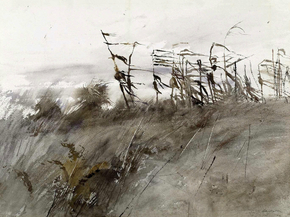 Wyeth Andrew - November First | Уайет Эндрю Wyeth Andrew - November First | Уайет Эндрю