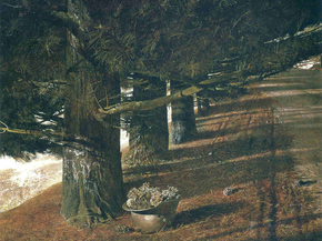 Wyeth Andrew - Pine Baron | Уайет Эндрю Wyeth Andrew - Pine Baron | Уайет Эндрю