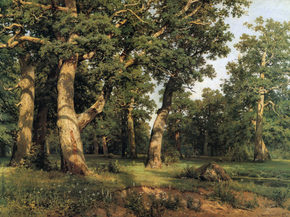 Shishkin Ivan | Шишкин Иван - Дубовая роща