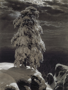 Shishkin Ivan | Шишкин Иван - На севере диком, 1890
