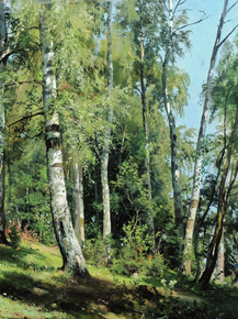 Shishkin Ivan | Шишкин Иван - Берёзовая роща