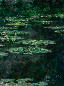 Monet Claude | Клод Моне - Кувшинки, 1904
