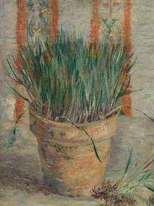 Van Gogh | Ван Гог - Цветочный горшок с луком, 1887 Van Gogh | Ван Гог - Цветочный горшок с луком, 1887