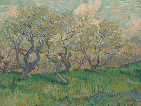 Van Gogh | Ван Гог - Фруктовый сад в цвету (сливы)