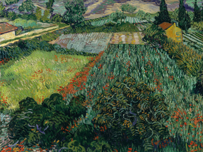 Van Gogh | Ван Гог - Поле с маками