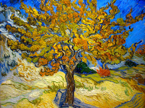 Van Gogh | Ван Гог - Тутовое дерево, 1889