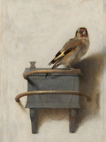 Carel Fabritius | Карел Фабрициус - Щегол