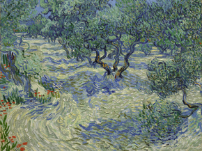 Van Gogh | Ван Гог - Оливковый сад