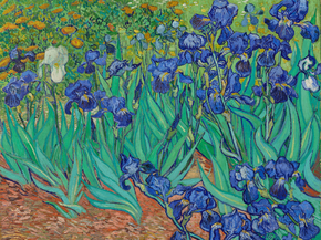 Van Gogh | Ван Гог - Ирисы Van Gogh | Ван Гог - Ирисы
