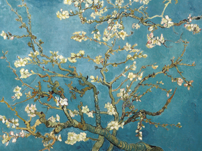 Van Gogh | Ван Гог - Цветущие ветки Миндаля