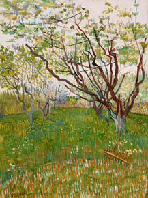 Van Gogh | Ван Гог - Фруктовый сад в цвету Van Gogh | Ван Гог - Фруктовый сад в цвету