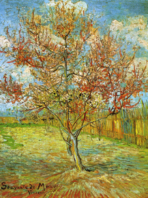 Van Gogh | Ван Гог - Цветущий арль