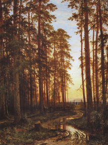 Shishkin Ivan | Шишкин Иван - Вечер в сосновом лесу