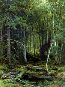 Shishkin Ivan | Шишкин Иван - Лесная глушь