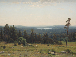 Shishkin Ivan | Шишкин Иван - Лесные дали, 1884