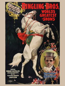 Ringling bros.
