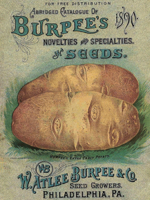 Burpee's in seeds