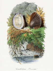 Le Jardin des Plante
