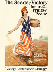 World War I - The Seeds of Victory