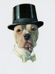 Dog | Собака в цилиндре