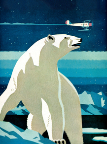 Polar Bear | Белый медведь