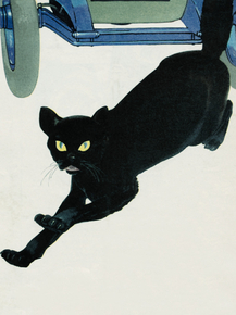 Black Cat | Черная кошка