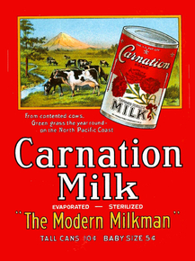 Carnation Milk | Молоко