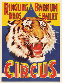 Circus | Цирк