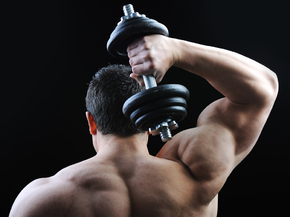 Bodybuilding | Бодибилдинг