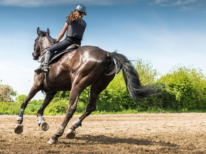 Horse sport | Конный спорт
