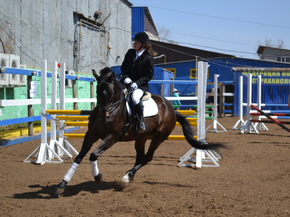 Horse sport | Конный спорт