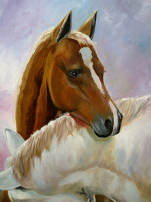 Horse sport | Конный спорт