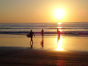 Surfers | Серфинг