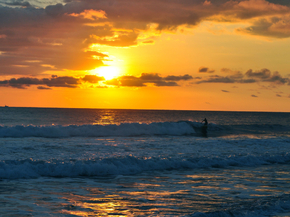 Surfers | Серфинг