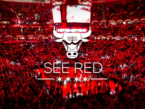 Chicago Bulls | See Red