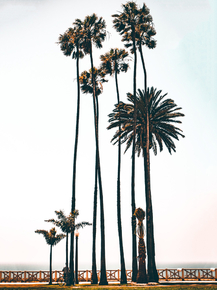 Los Angeles | Лос-Анджелес