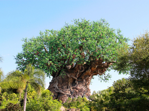 Tree | Дерево
