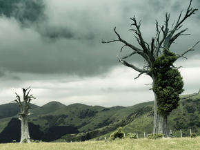 Tree | Дерево