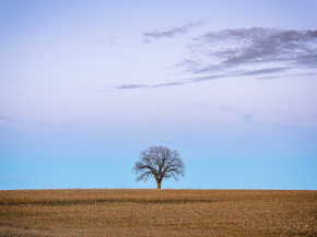 Sky | Небо